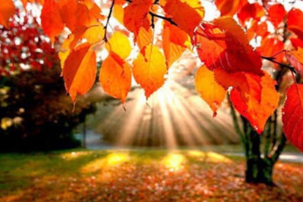 Imagen Esta sábado inicia el otoño en el Hemisferio Norte
