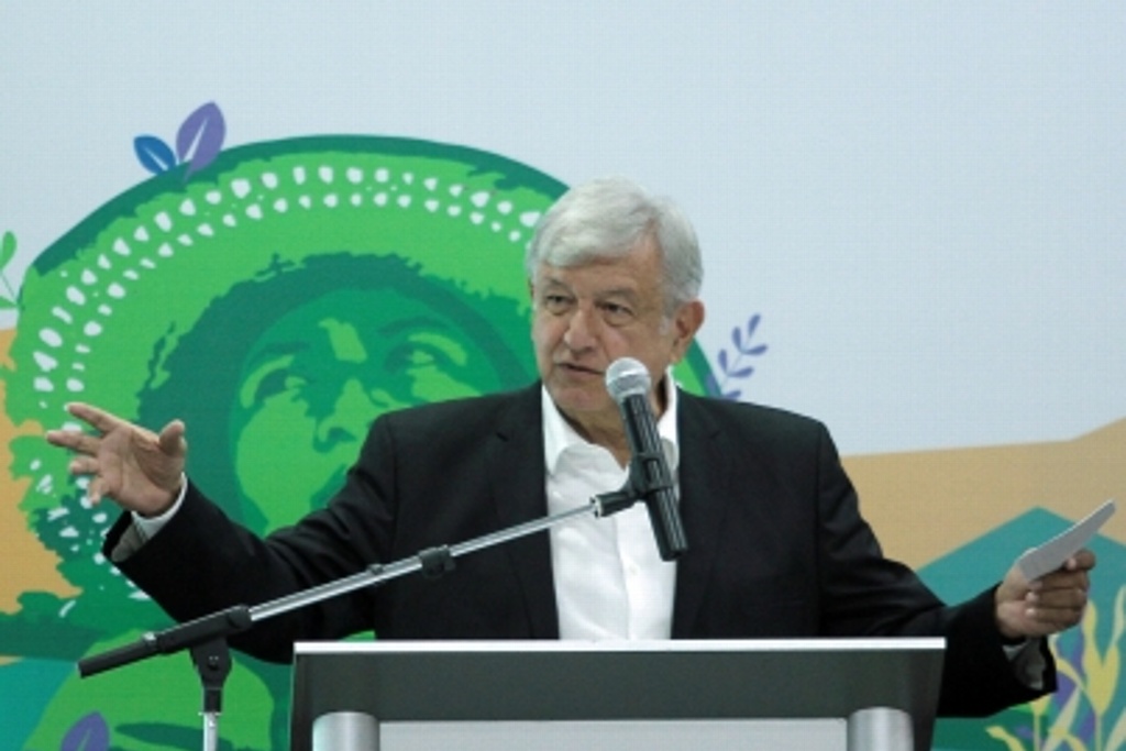 Imagen Programa Sembrando vida creará 400 mil empleos directos: López Obrador