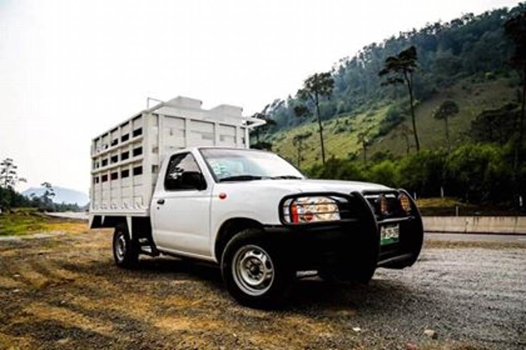 Imagen Piden apoyo para localizar camioneta que fue robada de la cochera de su casa en Veracruz 
