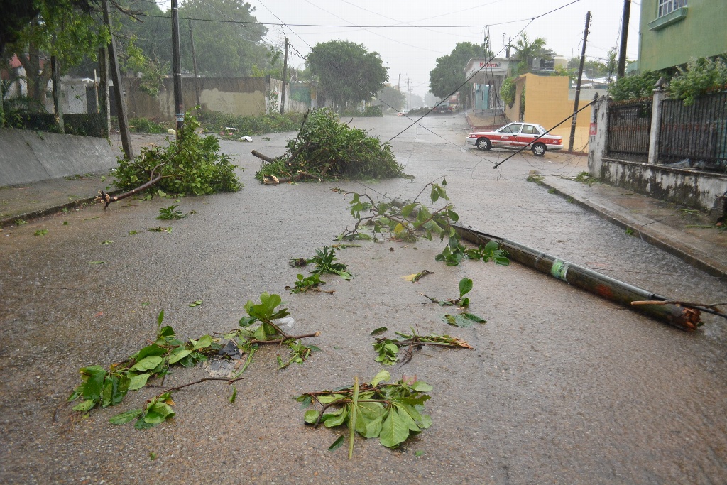 Imagen Daños a viviendas, árboles y red eléctrica tras lluvias en el sur de Veracruz (+fotos)