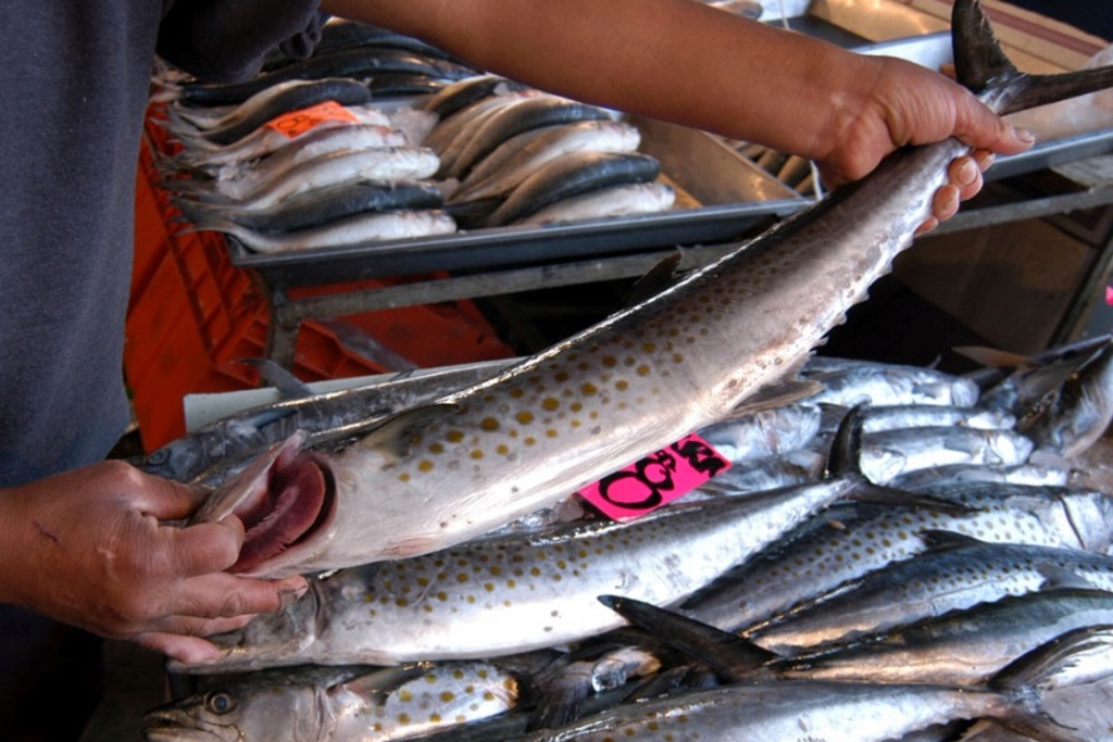 Imagen Incrementa el precio del pescado en Veracruz