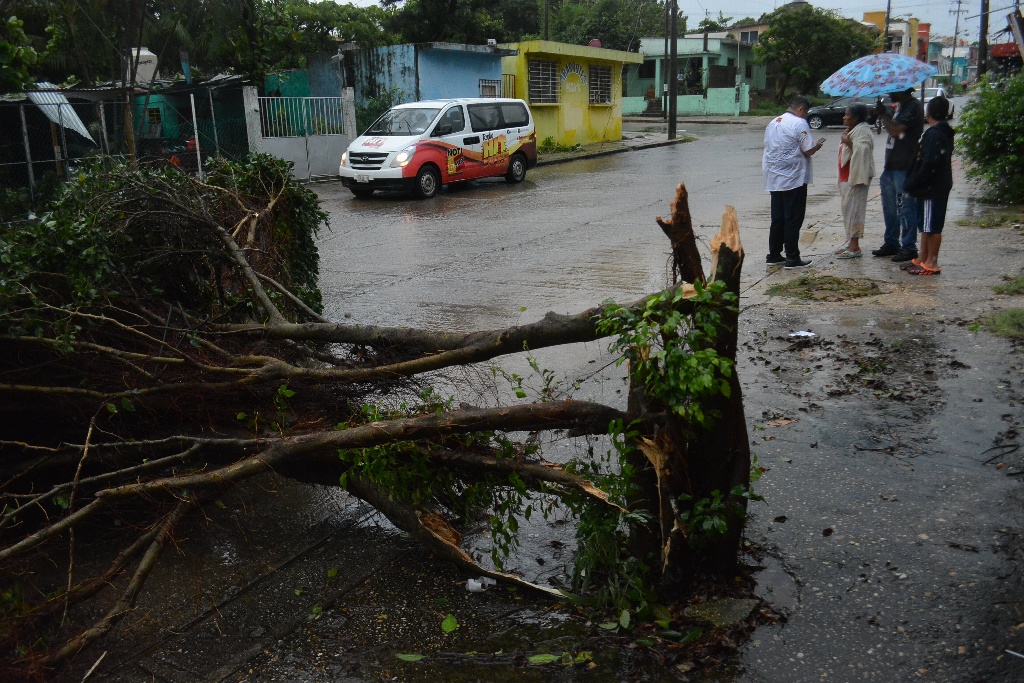 Imagen Lluvias dejan afectaciones en 21 municipios de Veracruz