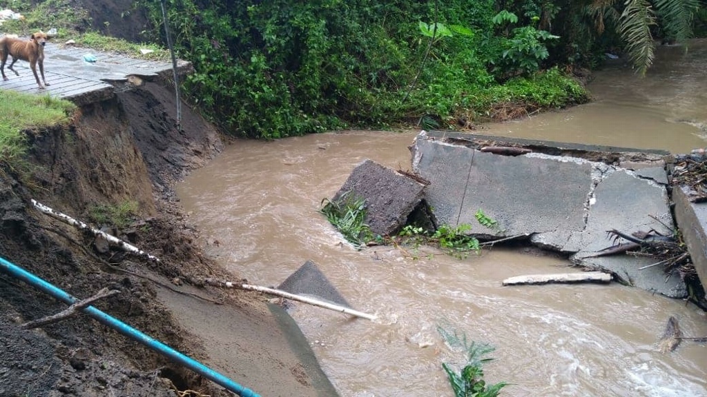 Imagen Un puente colapsado y 500 familias afectadas dejan lluvias en Santiago Tuxtla, Veracruz 