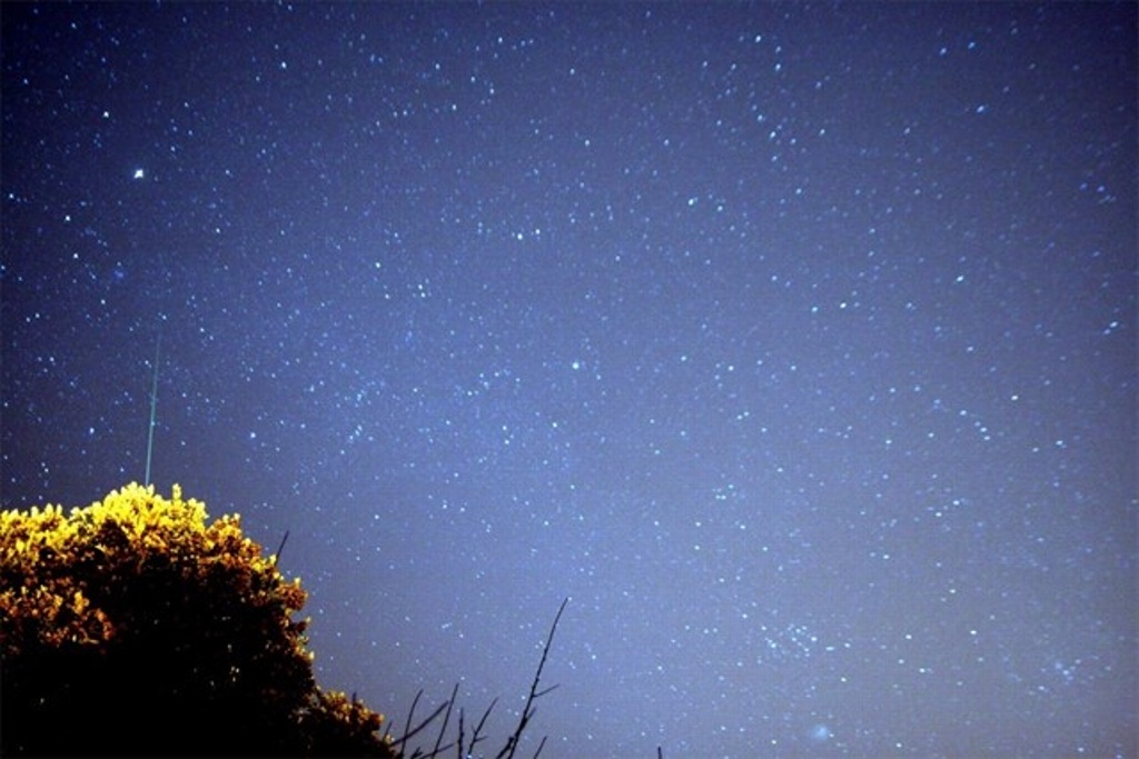 Imagen Próximo domingo, lluvia de estrellas asociadas al paso del cometa Halley