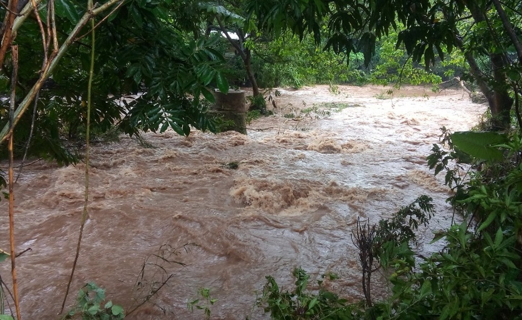 Imagen Maestra difunde video para pedir auxilio y que Tatahuicapan sea declarado zona emergencia por lluvias