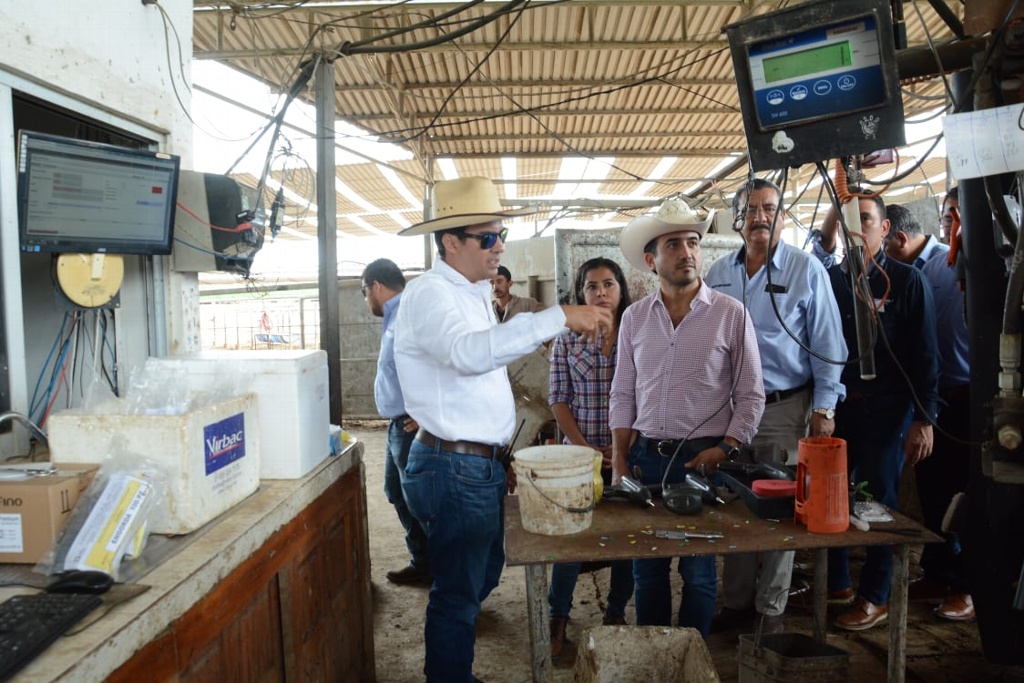 Imagen Se invertirán en Veracruz más de 500 mil pesos para combatir brucelosis y tuberculosis bovina