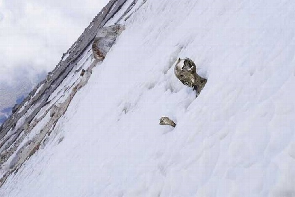 Imagen Rescatan cuerpos de alpinistas que murieron en 1959 en el Pico de Orizaba 