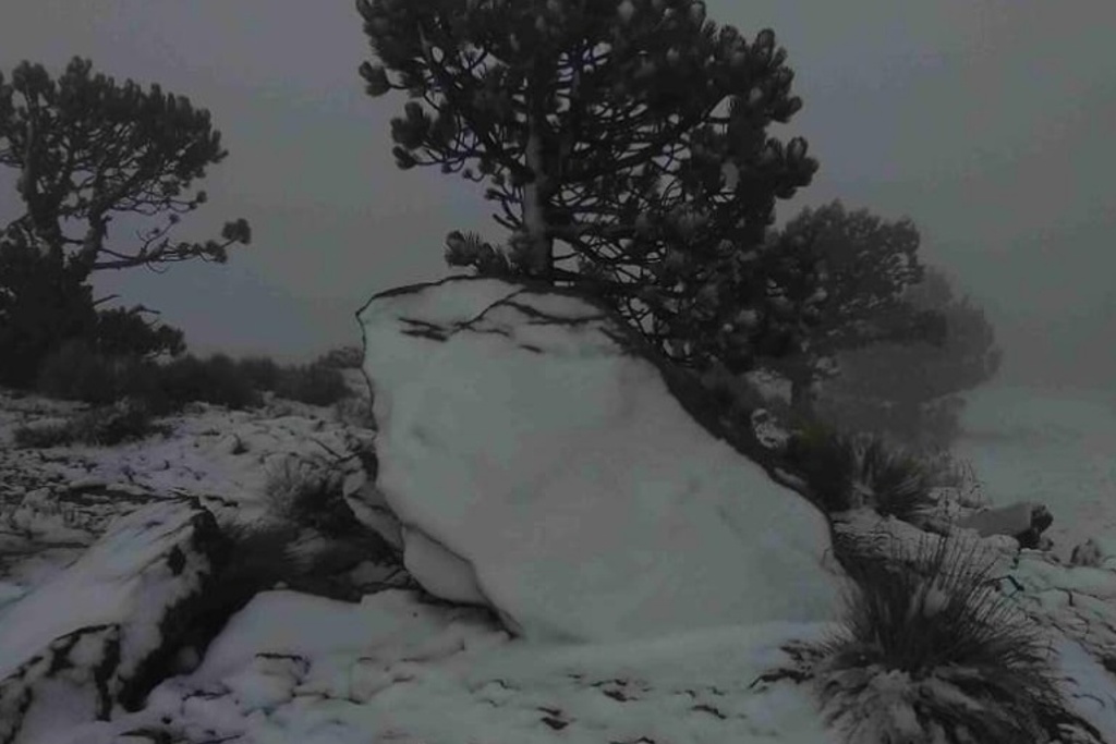 Imagen ¡Cae nevada en Cofre de Perote! (Fotos)
