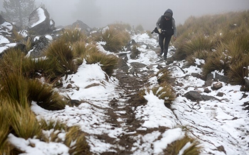 Imagen La nieve congela el paisaje en el Cofre de Perote, Veracruz (+fotos)