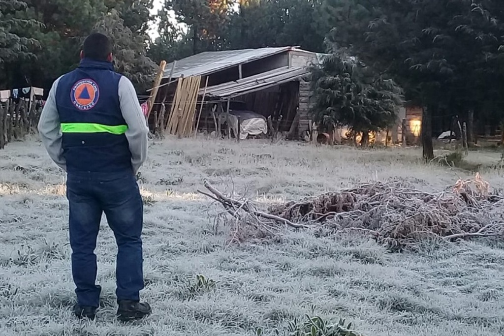 Imagen Prevén heladas más fuertes para el fin de semana