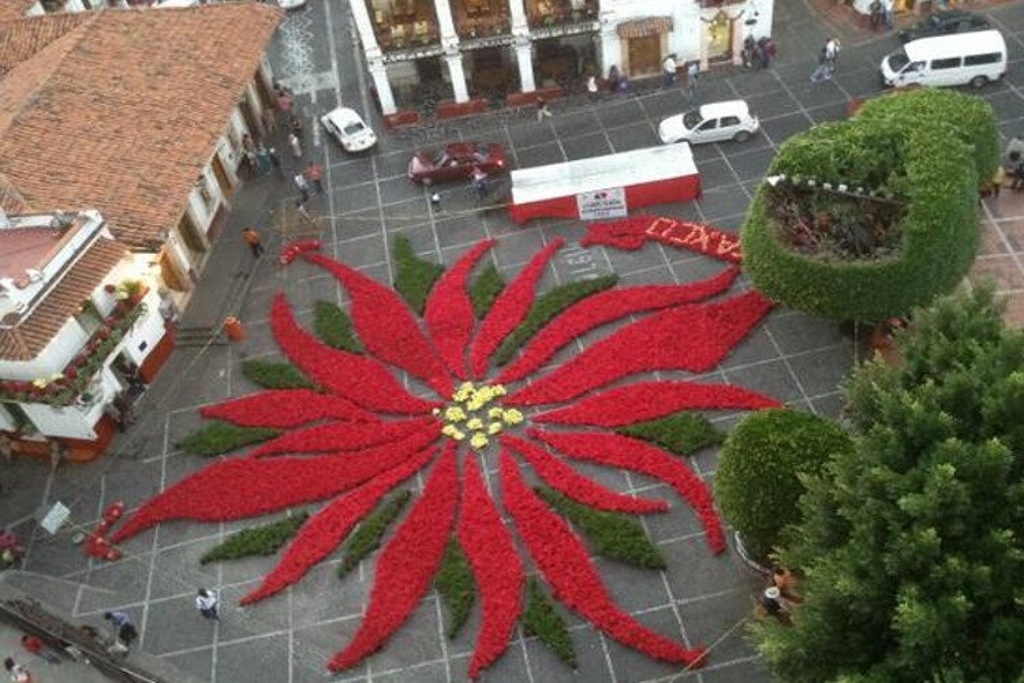 Imagen Instalan la mega flor de noche buena más grande del mundo en Taxco, Guerrero