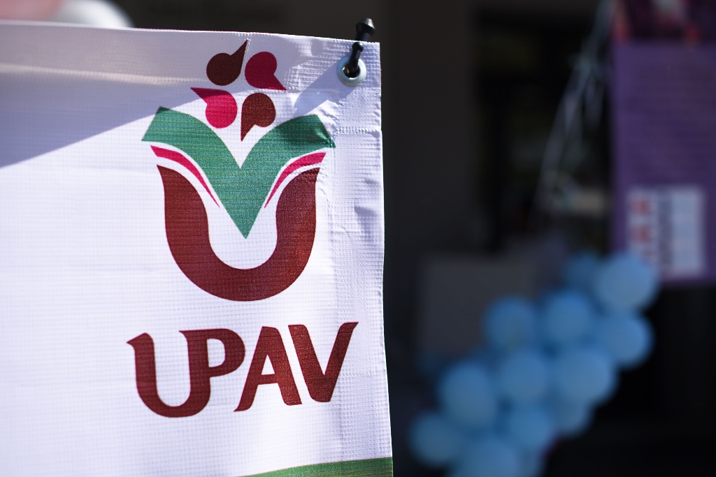 Imagen Congreso realizará foros de consulta para reformar Ley Orgánica de UPAV
