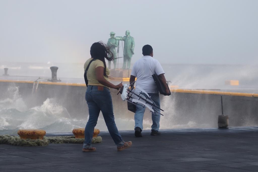Imagen Evento de norte en el estado de Veracruz deja 15 árboles caídos: SPC 