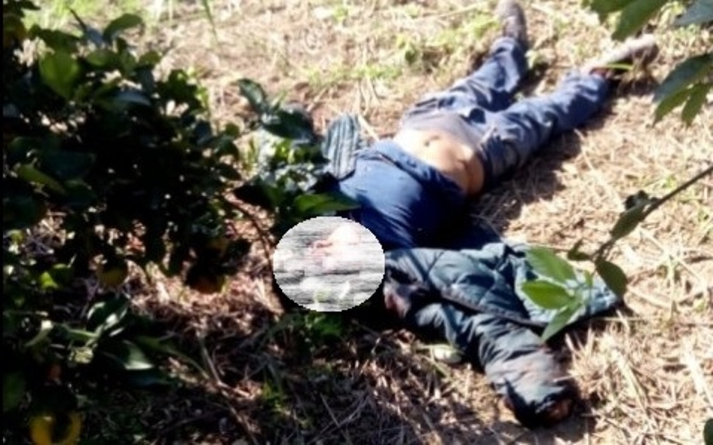 Imagen Encuentran cadáver con huellas de violencia en Álamo, Veracruz 