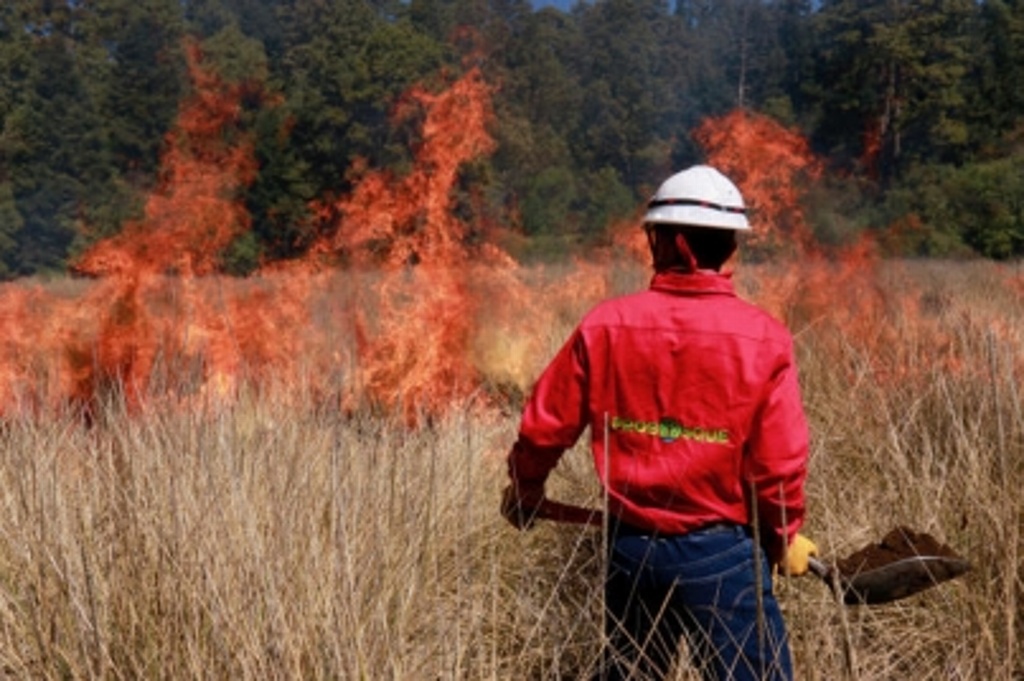 Imagen Continúan activos 26 incendios forestales en Chile