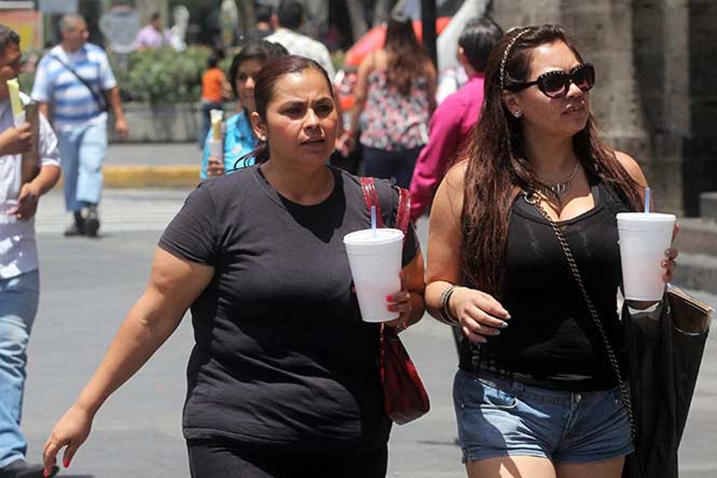 Imagen Onda de calor afecta 16 estados del país