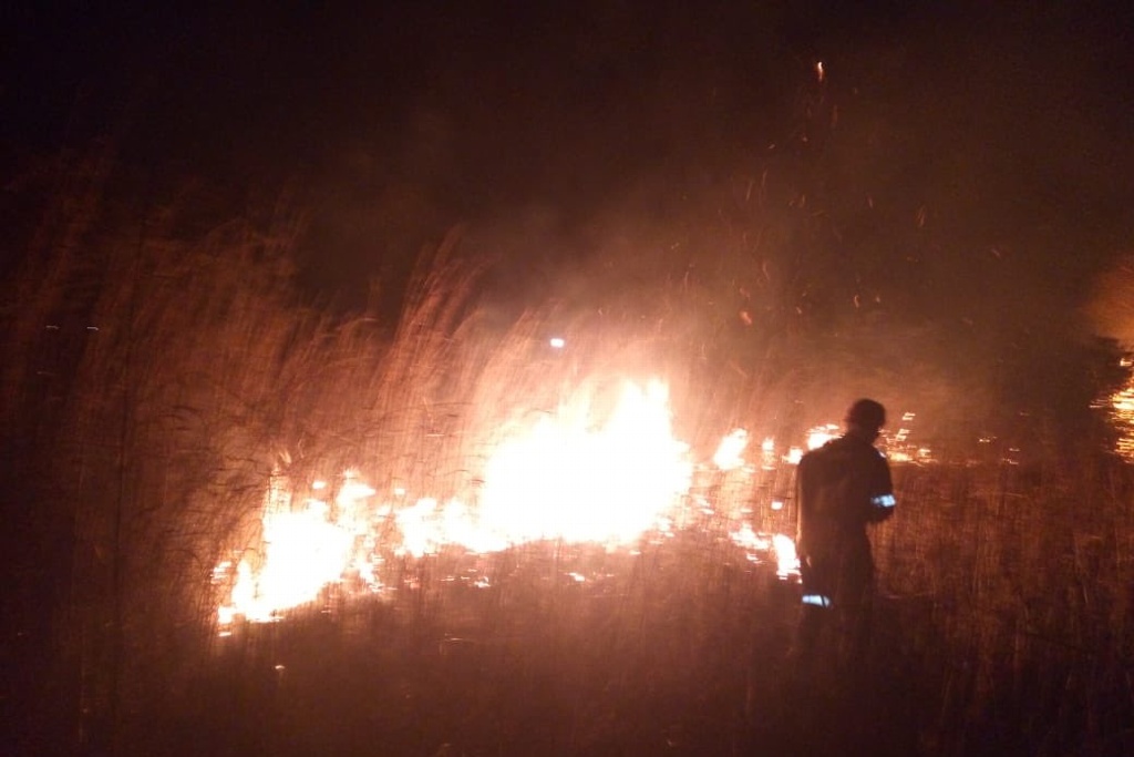 Imagen Incendio de pastizal en Emiliano Zapata, en Veracruz (video+fotos)