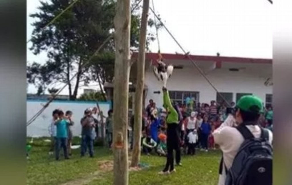 Imagen Sancionarán al alcalde de Misantla por promover maltrato animal con la 