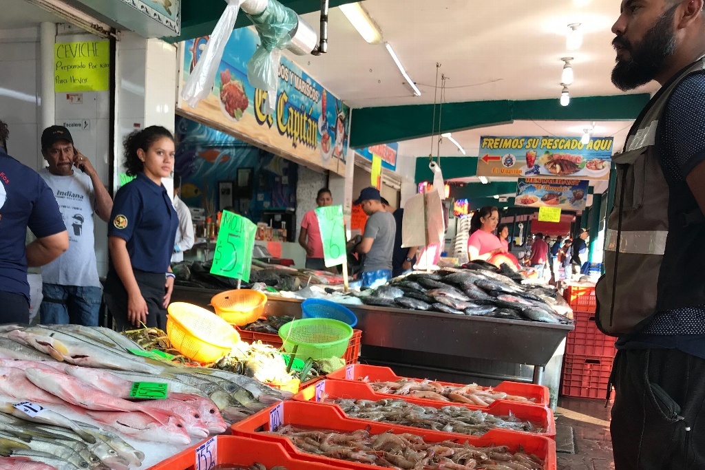 Imagen Pescadores reportan aumento en la demanda de pescado en un 30 por ciento en Veracruz