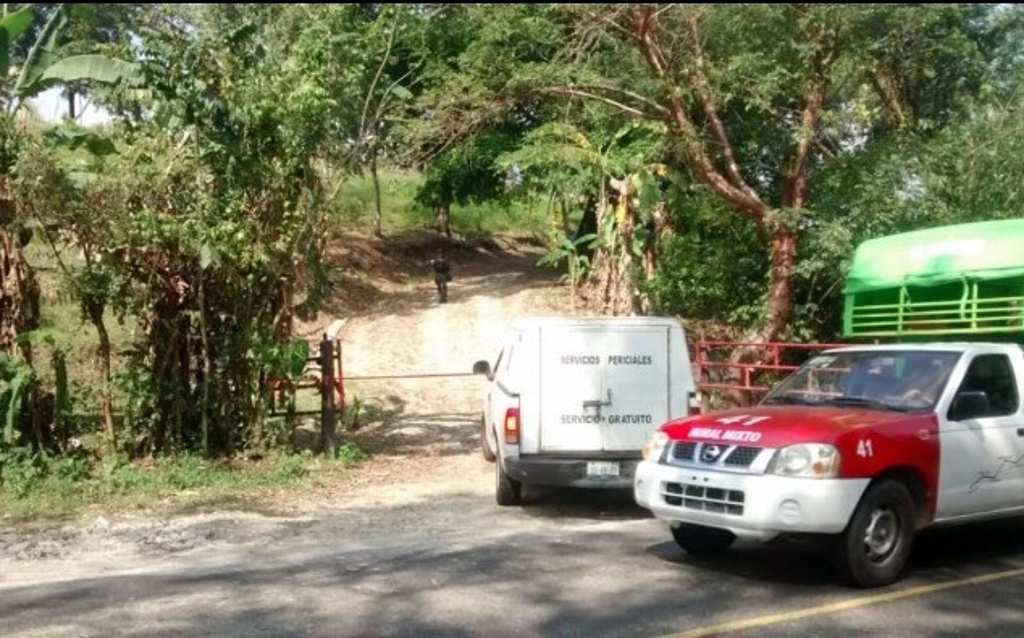 Imagen Tras enfrentamiento, buscan posibles fosas clandestinas en Misantla