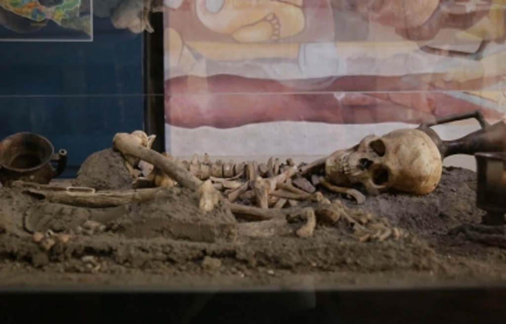 Imagen Abre Museo Regional de Puebla exposición paleontológica de Valsequillo