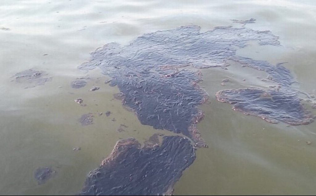 Imagen Reportan manchas de hidrocarburo en márgenes del río Coatzacoalcos, Veracruz 