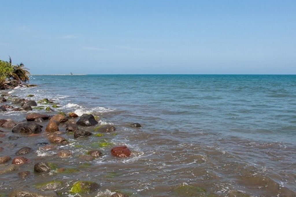 Imagen Una playa de Veracruz, entre las más sucias del país: Cofepris
