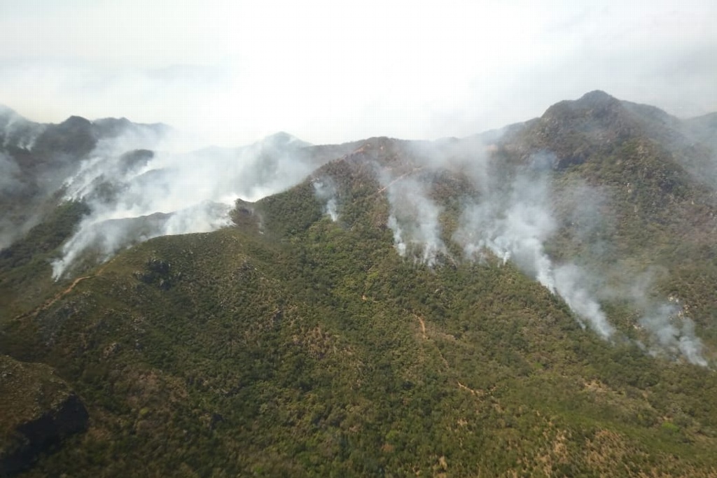 Imagen Se incorporan más fuerzas de tarea para atender incendio forestal en Alto Lucero, Veracruz