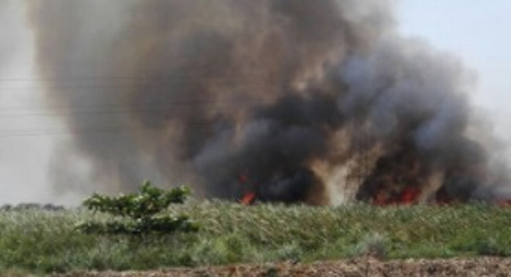 Imagen Bomberos de Veracruz combaten incendio en pastizal del Parque 2000: Alfonso García Cardona