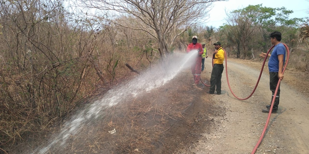 Imagen Reporta PC 95% de control y 80% de liquidación de incendio forestal en Alto Lucero, Veracruz