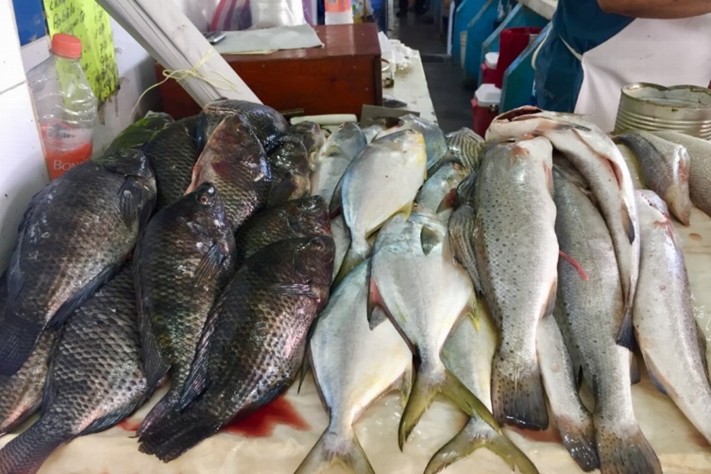 Imagen Baja venta de pescado durante Semana Santa en Veracruz, reportan comerciantes