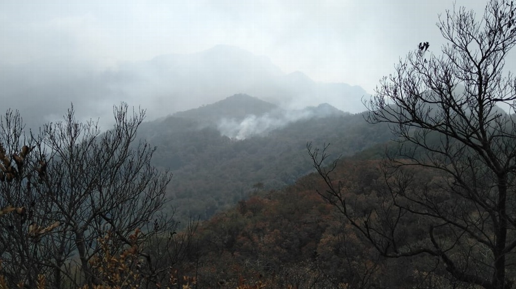Imagen Actuaremos con el peso de la Ley contra responsables de incendios forestales en Veracruz: Cuitláhuac García