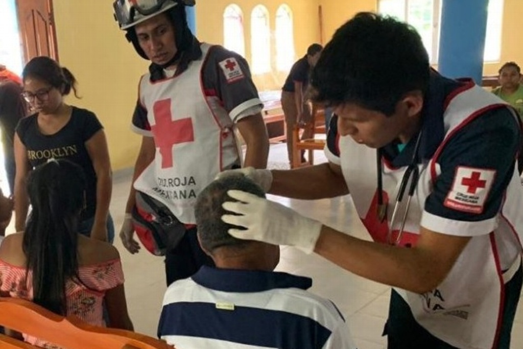 Imagen Abejas africanas atacan a fieles durante Viacrucis en Tabasco