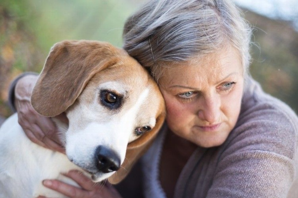 Imagen Atención y cariño, esenciales para mascotas en edad avanzada: Académica