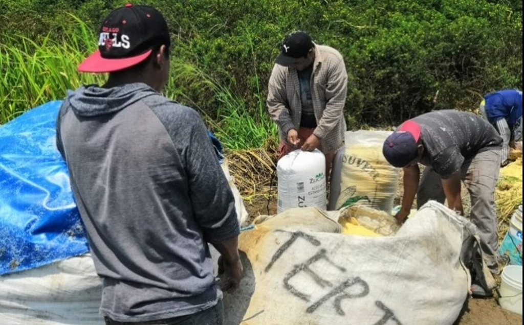Imagen Volcadura de tráiler cargado de azúcar desata rapiña, en la zona sur de Veracruz 