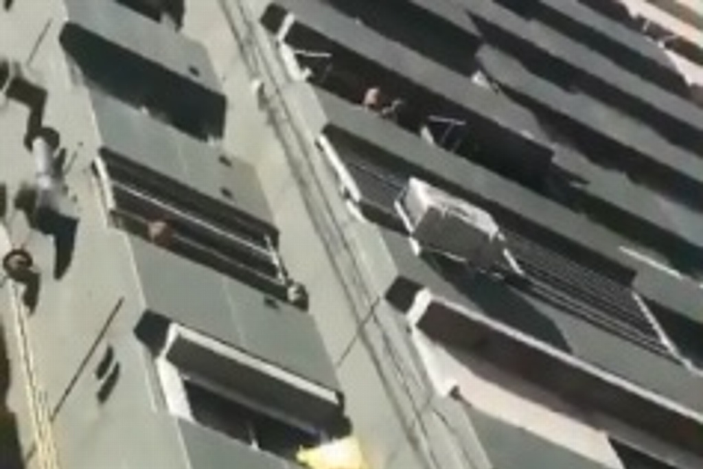 Imagen Mujer lanza a perro desde un quinto piso en Argentina (+video)