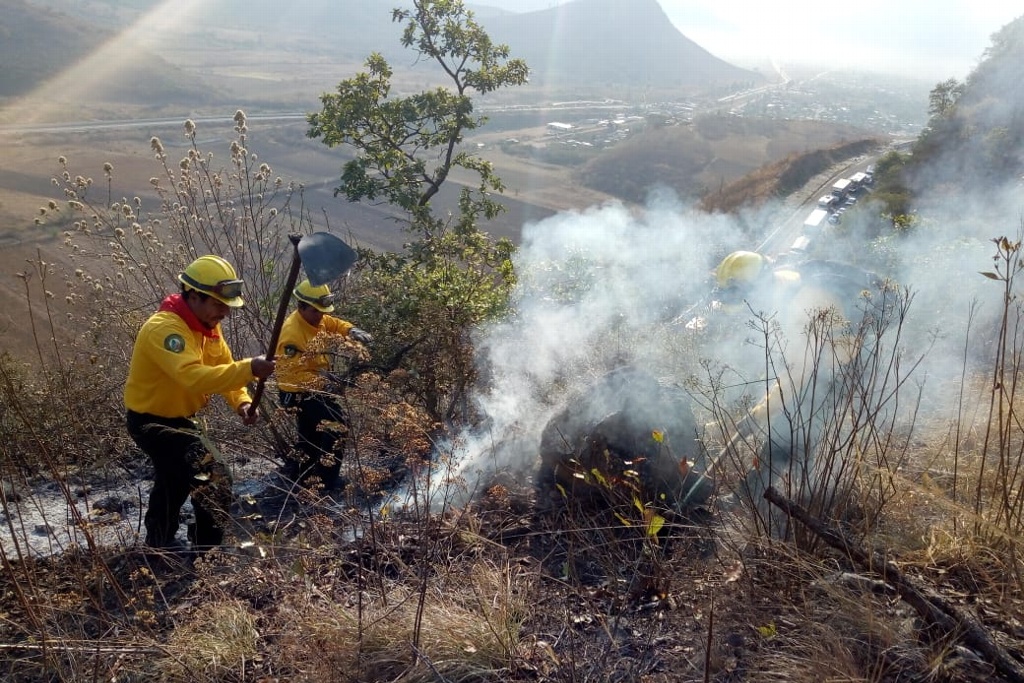 Reporta Protección Civil Ocho Incendios Forestales Activos En Veracruz