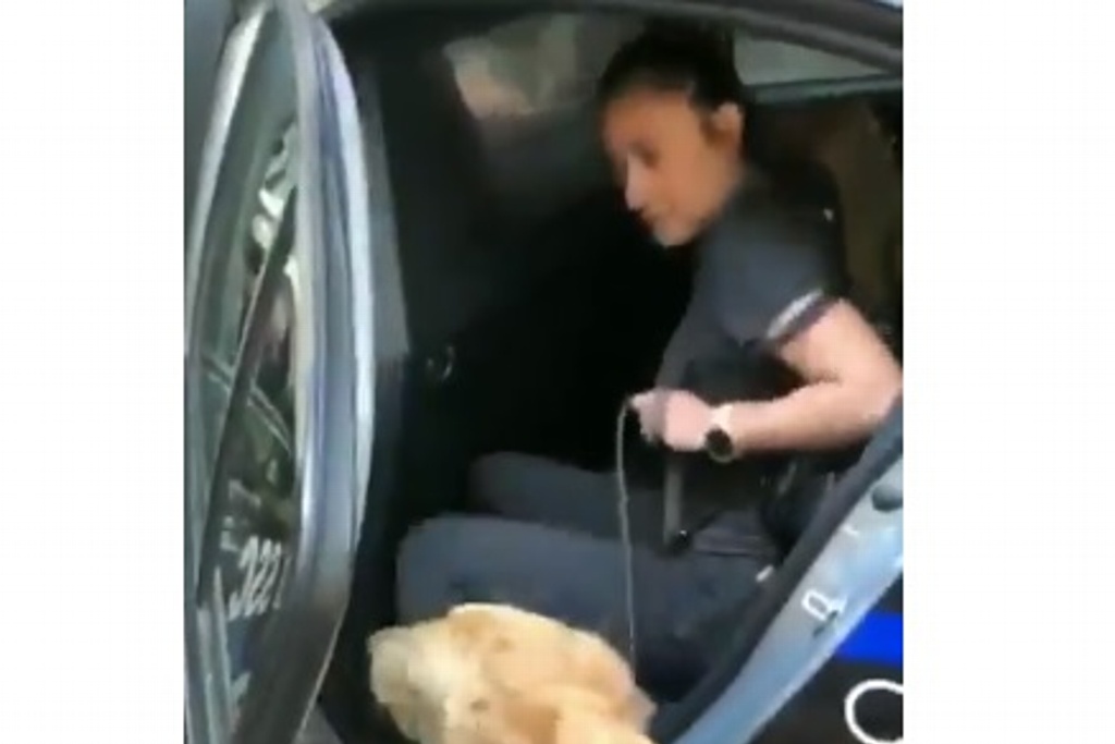 Imagen Policías 'detienen' a perritos por meterse a jugar en fuente de la alcaldía Cuauhtémoc