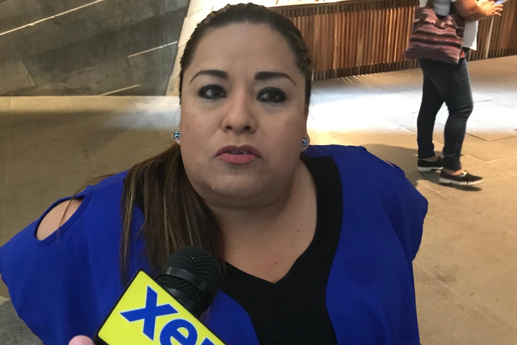 Imagen Durante Festival de la Salsa se aseguró sólo un menor por trabajar en calle: Procuradora
