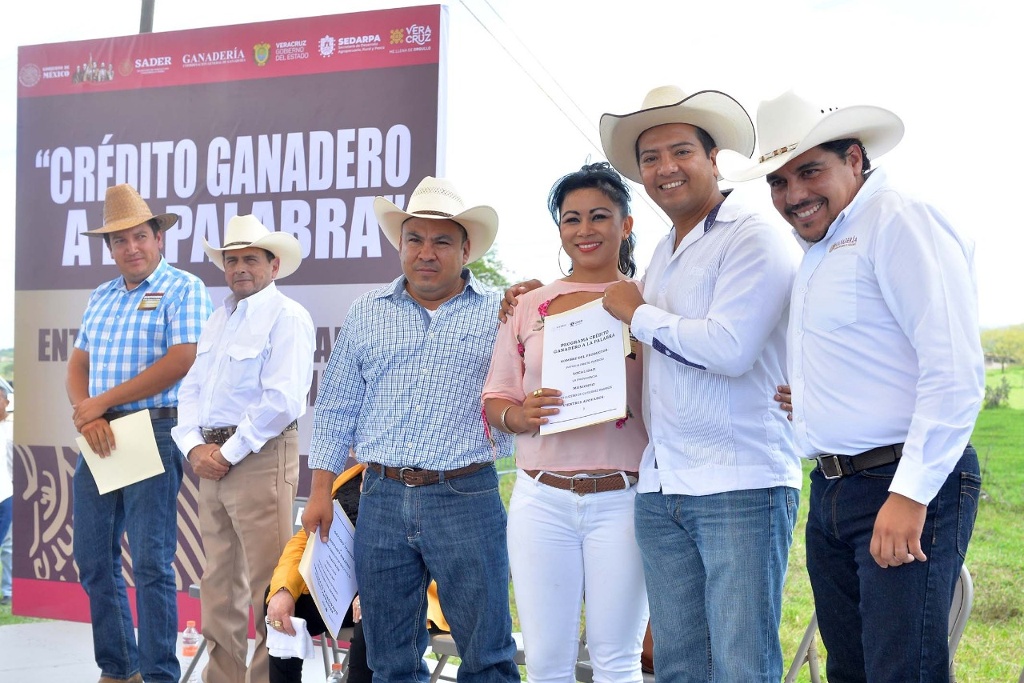 Imagen Entrega Sedarpa 133 vaquillas y siete sementales al norte de Veracruz