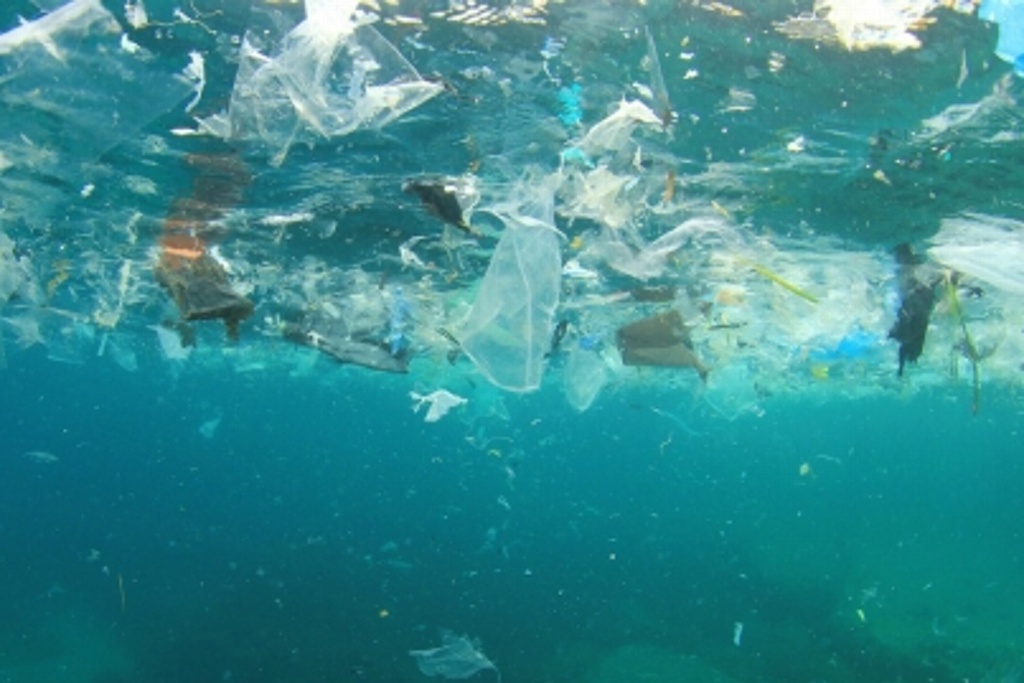 Imagen Norteamérica busca cómo lidiar con la basura en los océanos