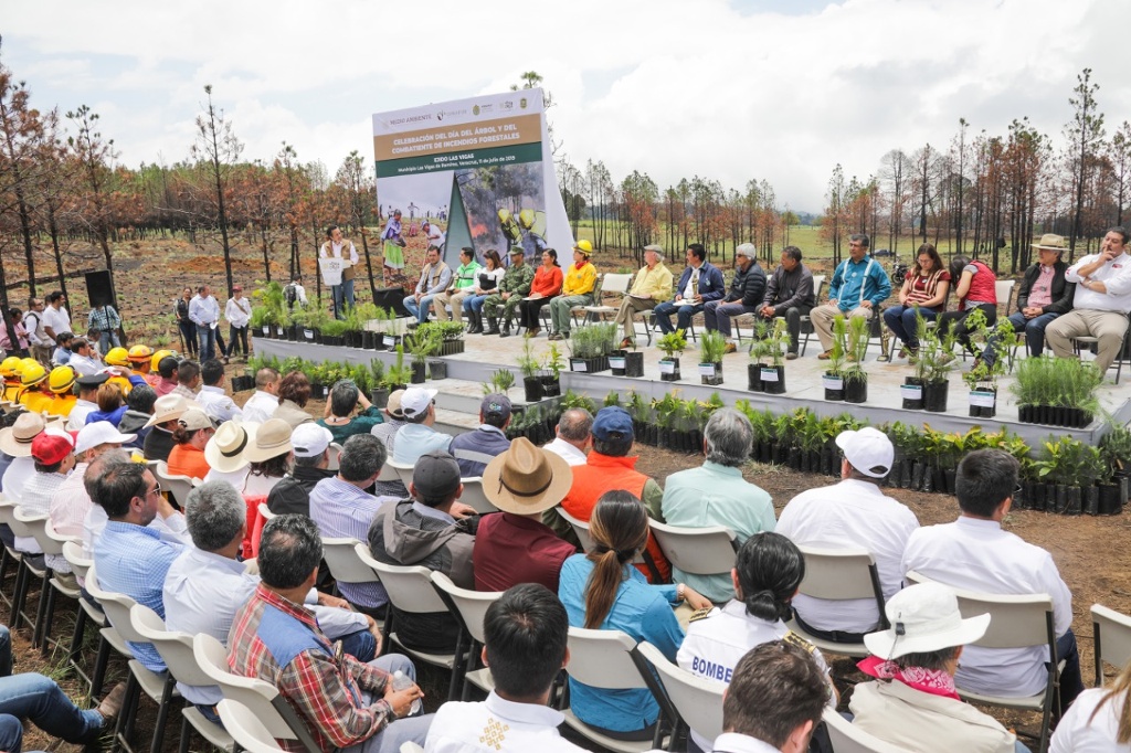 Imagen Inicia Campaña Nacional de Restauración Forestal en Las Vigas, Veracruz