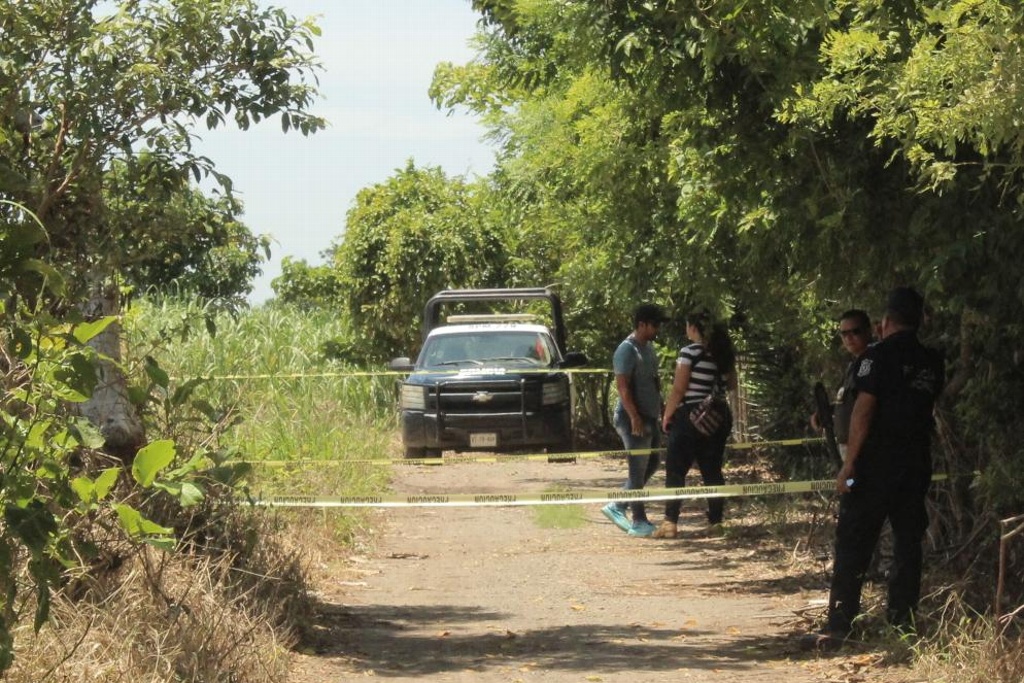 Encuentran cadáver entre cañales de Manlio Fabio Altamirano, Veracruz ...