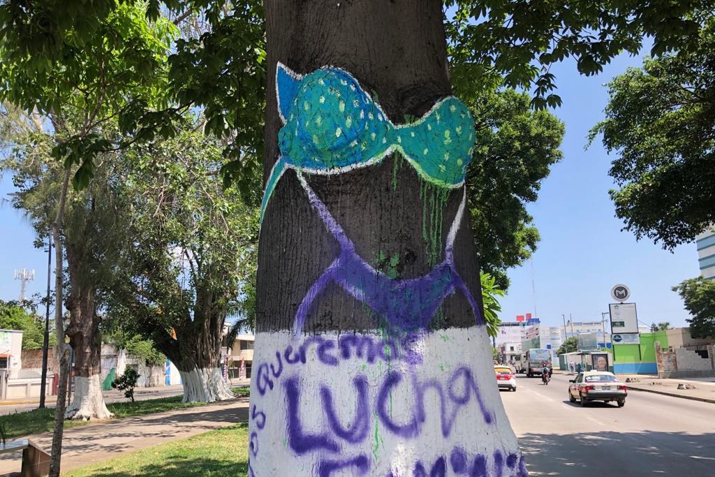 Imagen Amanece con pintas árbol del bikini en Veracruz