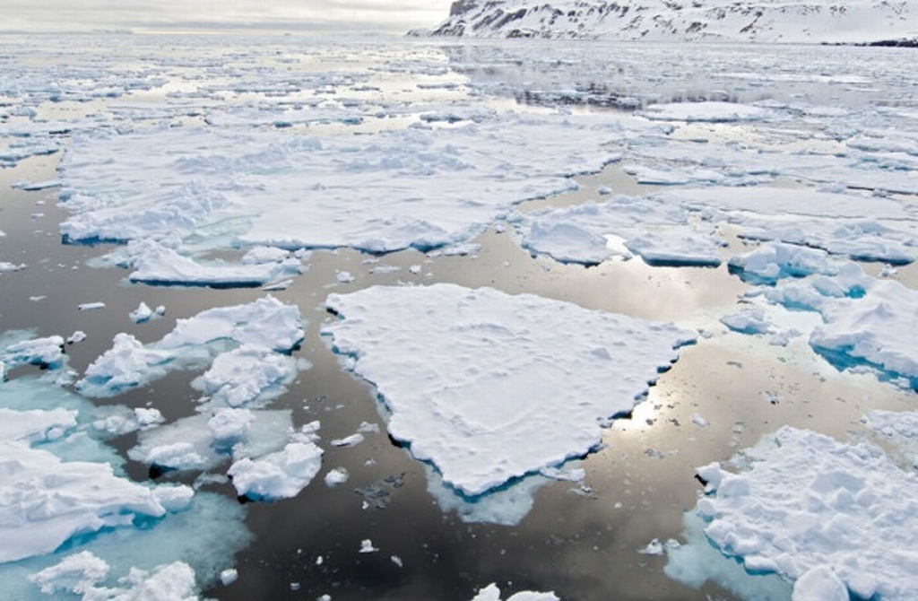 Imagen Revelan que el Mar de Bering sufre pérdida de hielo sin precedentes