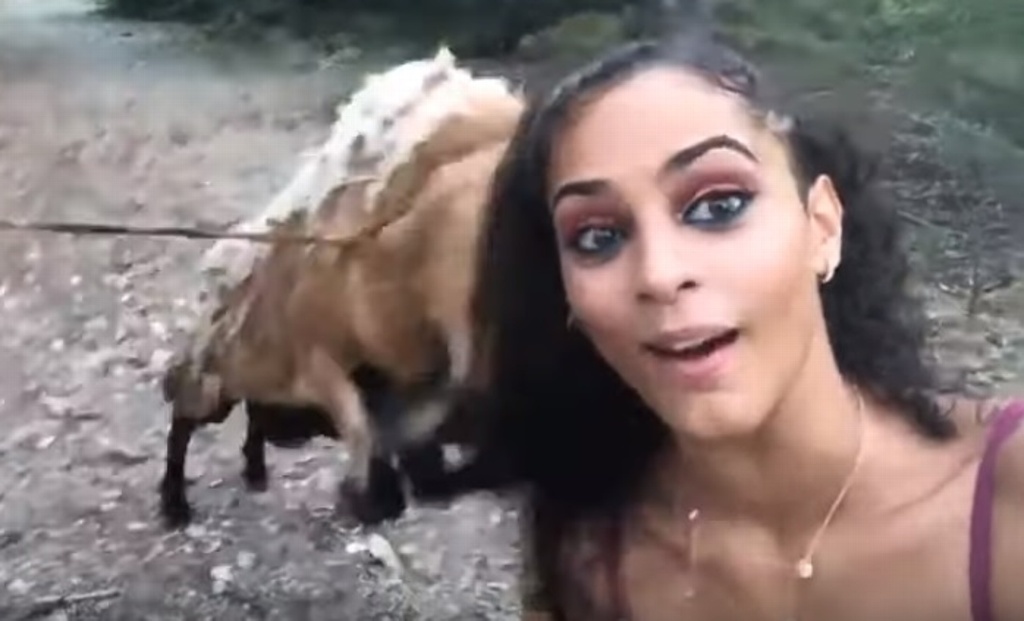 Imagen Chica intenta sacarse selfie con una cabra y el animal la golpea (+Video)