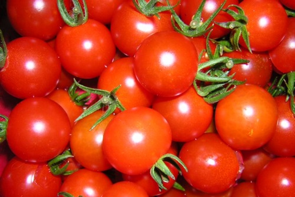 Imagen México y EU logran acuerdo de tomate