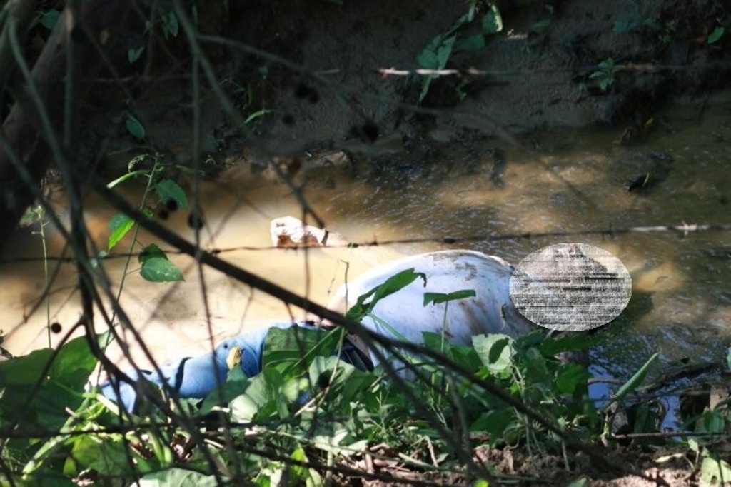 Imagen Encuentran cadáver de mecánico a orillas de arroyo en Sayula de Alemán, Veracruz