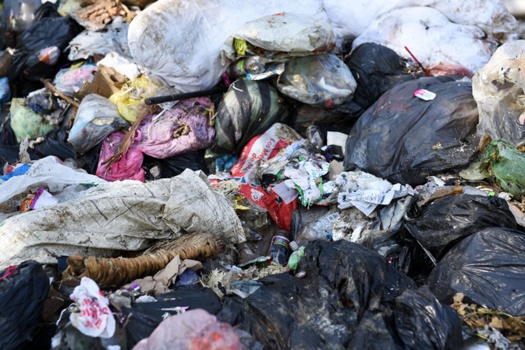 Imagen Comercios de Veracruz contratan a particulares para recolección de la basura