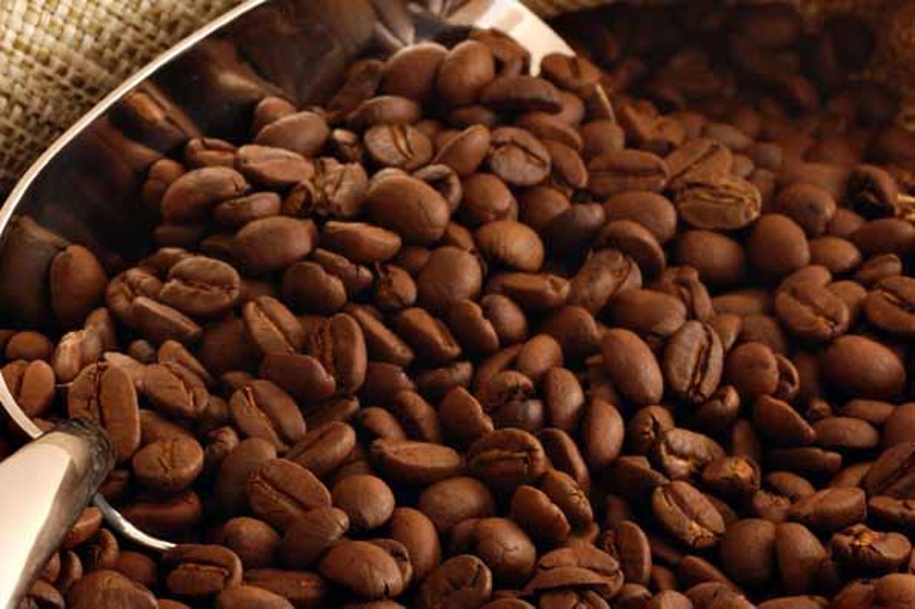 Imagen México propone crear instancia para fijar 'un precio más justo' al café a nivel internacional